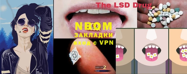 PSILOCYBIN Балахна