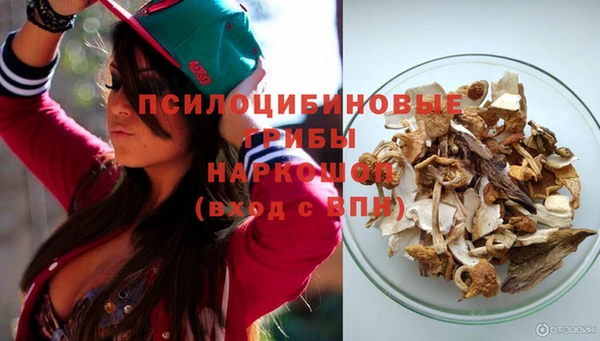PSILOCYBIN Балахна