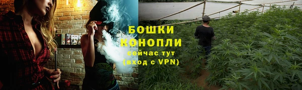 гидра Баксан