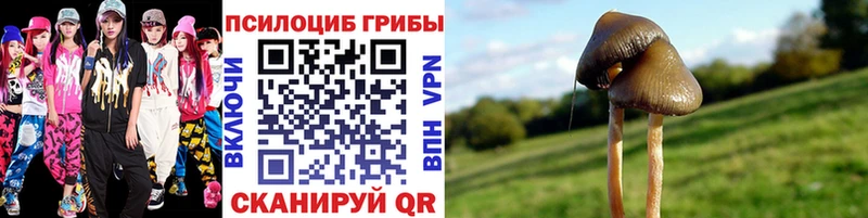 МЕГА ссылка  Салаир  Галлюциногенные грибы Psilocybe  закладки 
